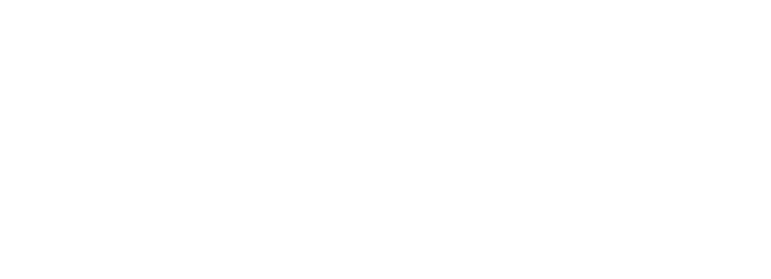 Logo-white